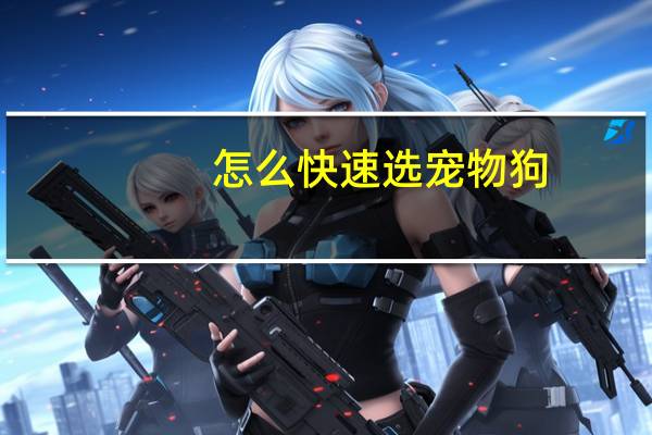 怎么快速选宠物狗
