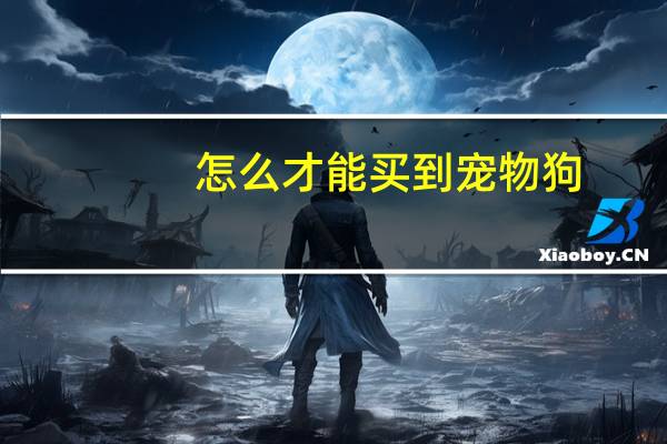 怎么才能买到宠物狗