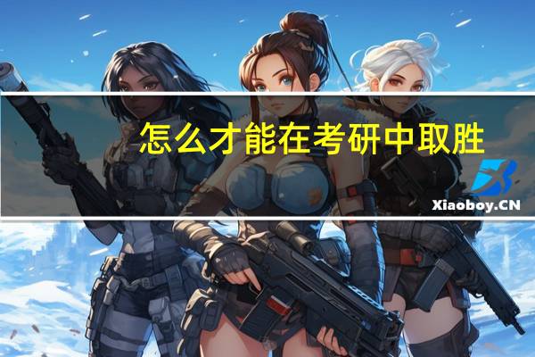 怎么才能在考研中取胜