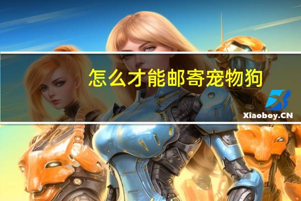 怎么才能邮寄宠物狗