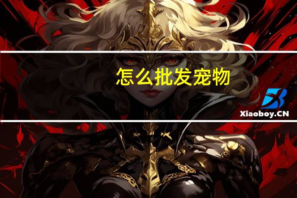 怎么批发宠物