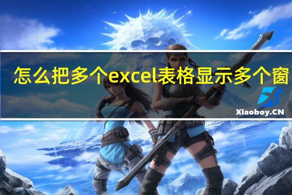 怎么把多个excel表格显示多个窗口里（怎么把多个excel表格显示多个窗口）