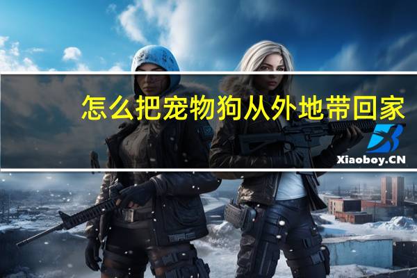 怎么把宠物狗从外地带回家