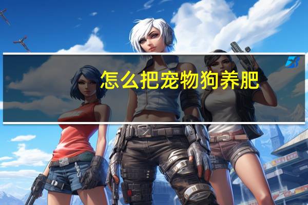 怎么把宠物狗养肥