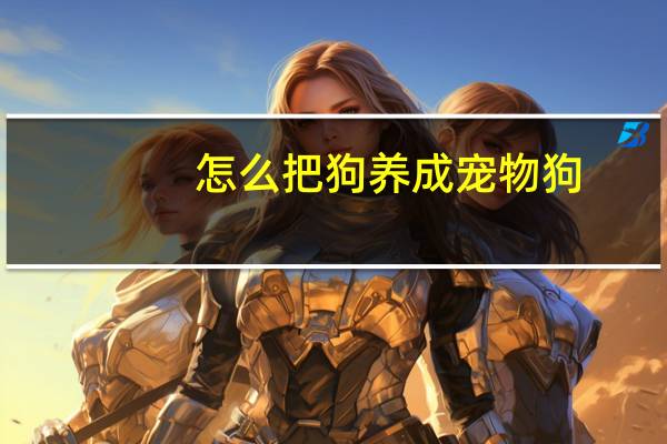 怎么把狗养成宠物狗