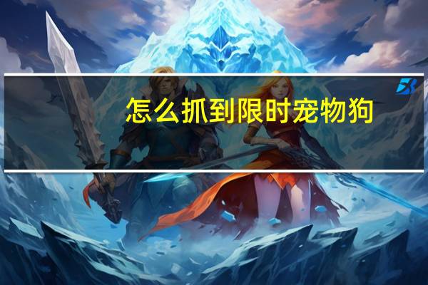 怎么抓到限时宠物狗