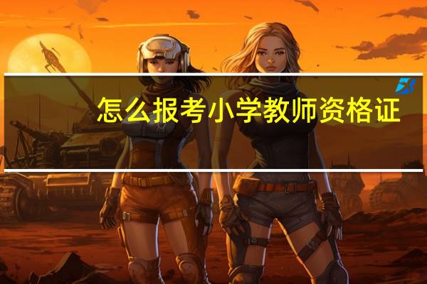 怎么报考小学教师资格证