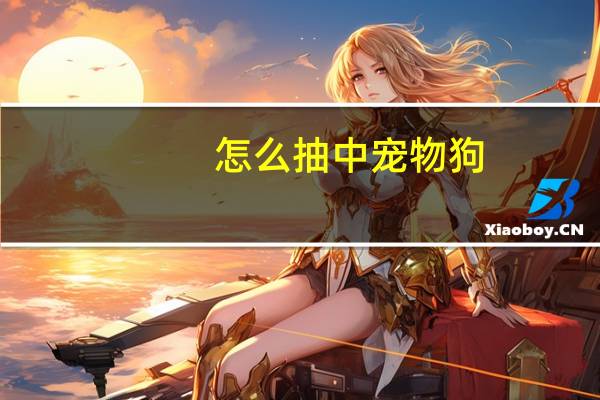 怎么抽中宠物狗