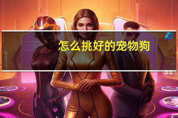 怎么挑好的宠物狗