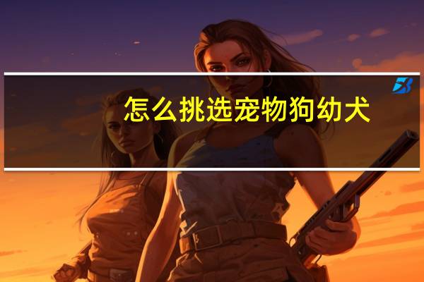 怎么挑选宠物狗幼犬