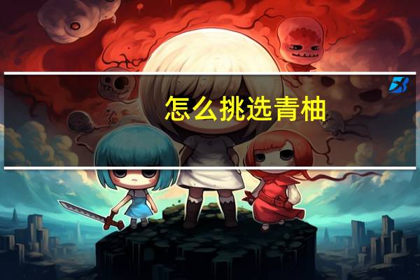 怎么挑选青柚