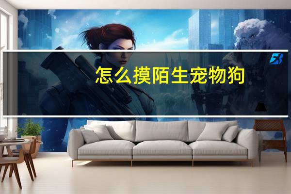 怎么摸陌生宠物狗