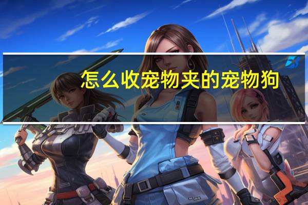 怎么收宠物夹的宠物狗