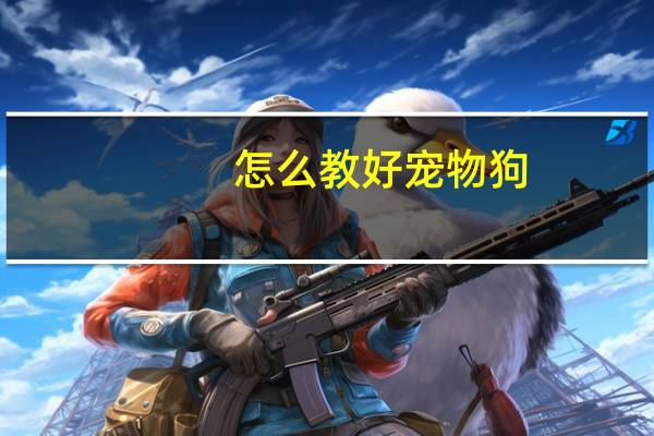 怎么教好宠物狗