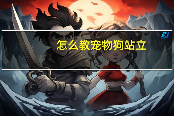 怎么教宠物狗站立