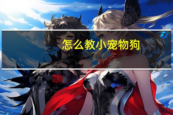 怎么教小宠物狗