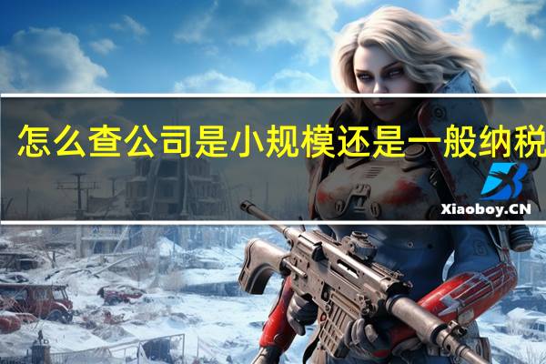 怎么查公司是小规模还是一般纳税人呢（怎么查公司是小规模还是一般纳税人）