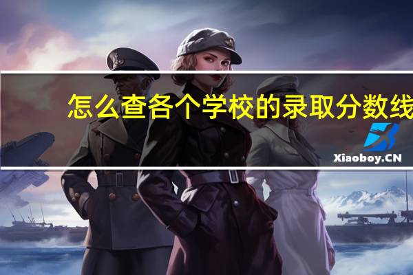 怎么查各个学校的录取分数线
