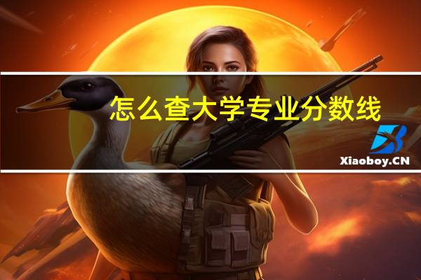 怎么查大学专业分数线