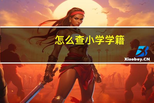 怎么查小学学籍