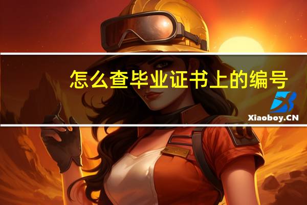 怎么查毕业证书上的编号