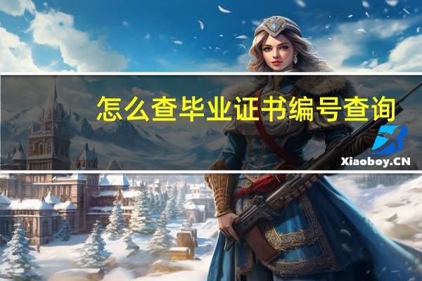 怎么查毕业证书编号查询（本科毕业证书编号查询）