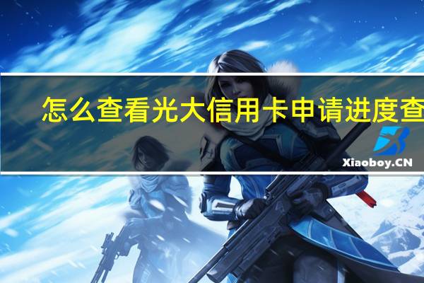 怎么查看光大信用卡申请进度查询(怎么查看光大信用卡申请进度呢)