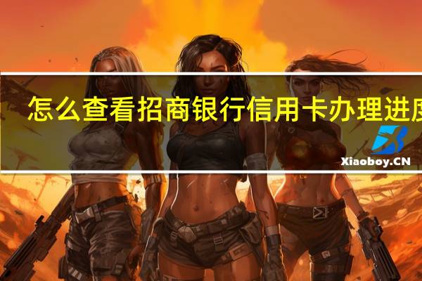 怎么查看招商银行信用卡办理进度呢