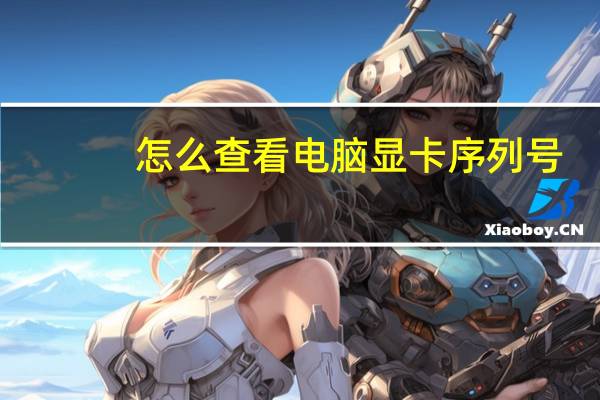 怎么查看电脑显卡序列号（怎么查看电脑显卡配置）