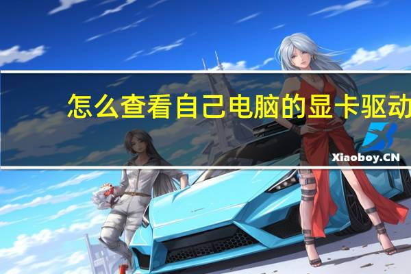 怎么查看自己电脑的显卡驱动（怎么查看自己电脑的显卡配置）