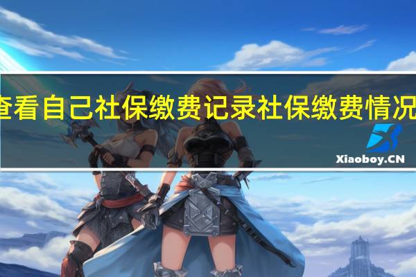 怎么查看自己社保缴费记录 社保缴费情况在哪里查询