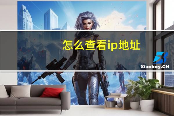 怎么查看ip地址