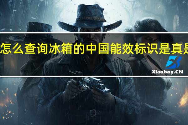 怎么查询冰箱的中国能效标识是真是假呢