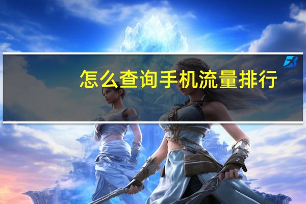 怎么查询手机流量排行（怎么查询手机流量）