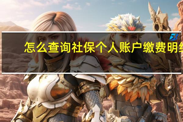 怎么查询社保个人账户缴费明细