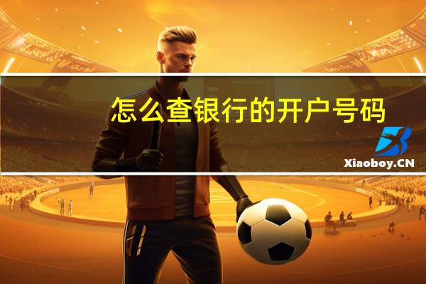 怎么查银行的开户号码（怎么查银行的开户支行）