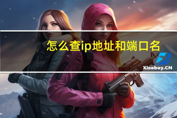 怎么查ip地址和端口名(怎么查ip地址)