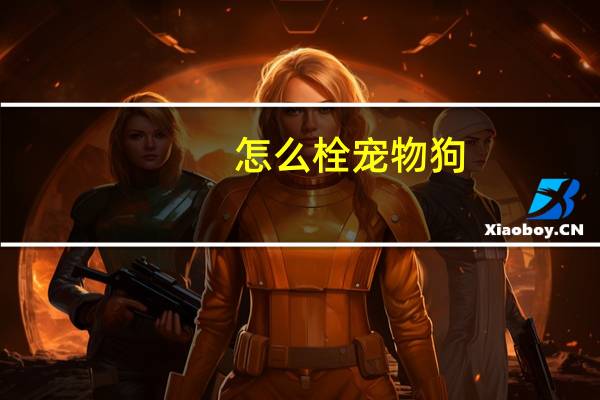 怎么栓宠物狗