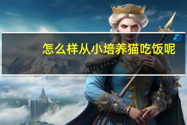 怎么样从小培养猫吃饭呢