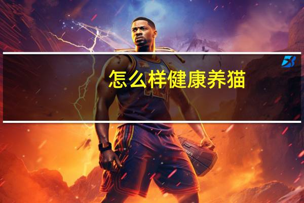 怎么样健康养猫
