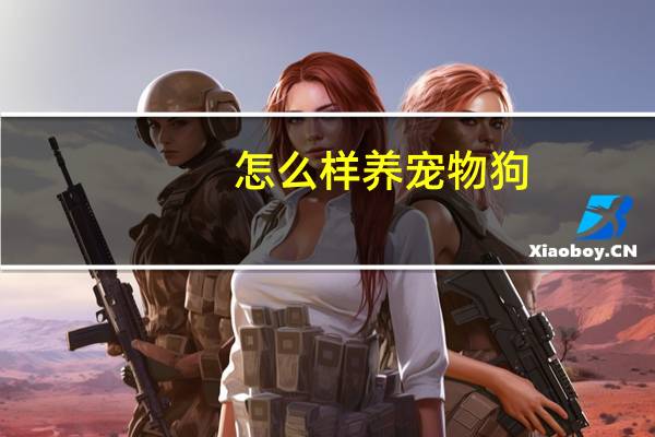 怎么样养宠物狗