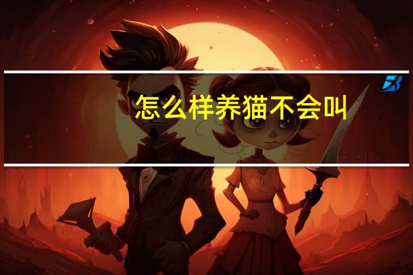 怎么样养猫不会叫