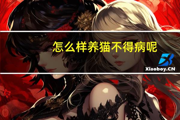 怎么样养猫不得病呢