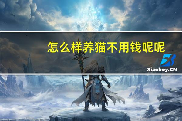 怎么样养猫不用钱呢呢
