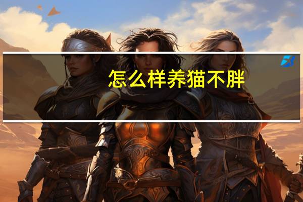 怎么样养猫不胖