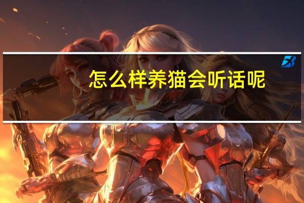 怎么样养猫会听话呢