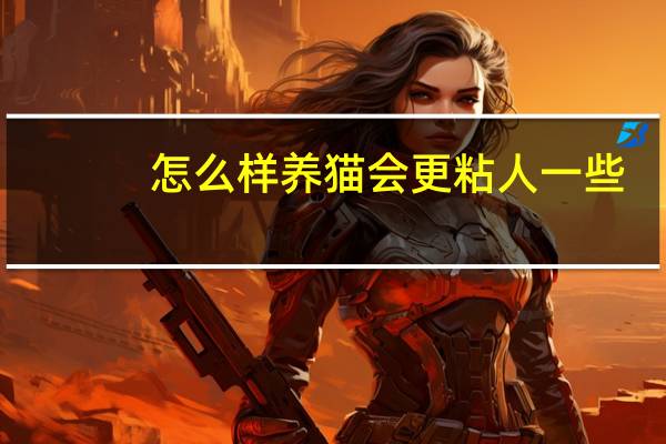 怎么样养猫会更粘人一些