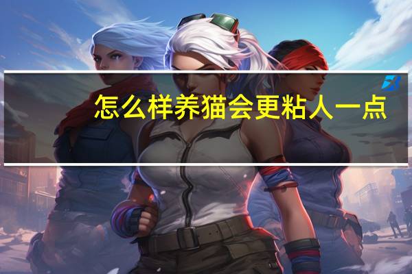 怎么样养猫会更粘人一点
