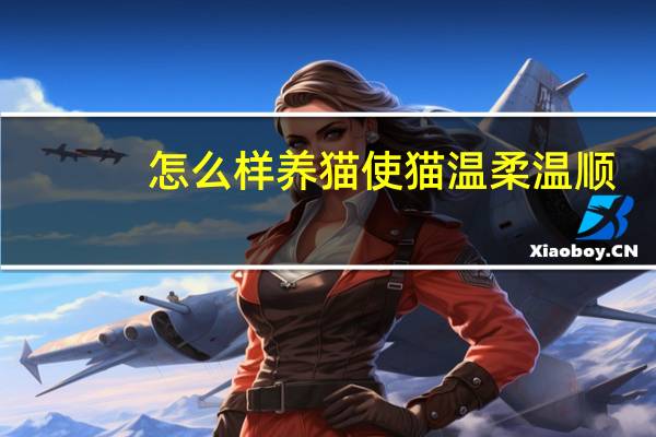 怎么样养猫使猫温柔温顺