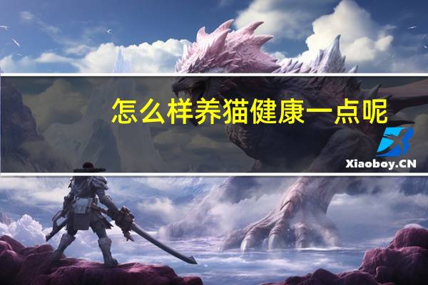 怎么样养猫健康一点呢